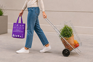 FOLDING GROCERY CART