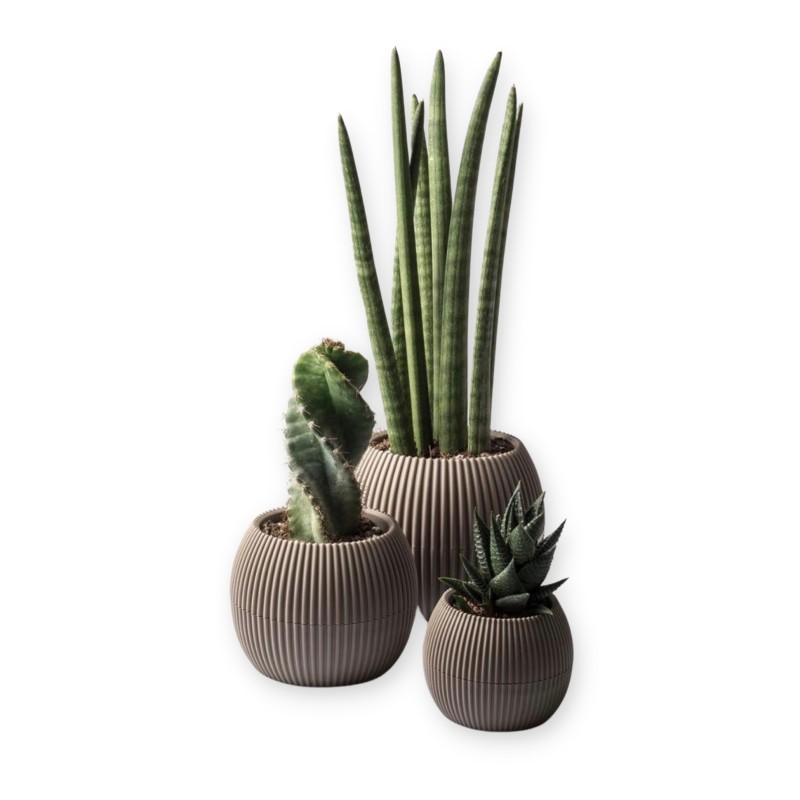 ΓΛΑΣΤΡΑKI ΓΙΑ ΚΑΚΤΑΚΙ ΣΤΡΟΓΓΥΛΟ CORAL No361 8.8x6.8cm 0.15L με πιάτο ΓΛΑΣΤΡΑKI ΓΙΑ ΚΑΚΤΑΚΙ ΣΤΡΟΓΓΥΛΟ CORAL No361 8.8x6.8cm 0.15L με πιάτο