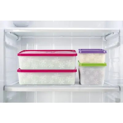 ΦΑΓΗΤΟΔΟΧΕΙΟ ΣΧΕΔΙΟ Μ-1031 2L 26,5x15,5x7cm VIOSARP