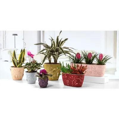 ΖΑΡΤΙΝΙΕΡΑ 3D ΠΕΤΑΛΟΥΔΑ Νο2 7.3L ΠΛΑΣΤΙΚΗ TBP730 47x16,4x1,5cm