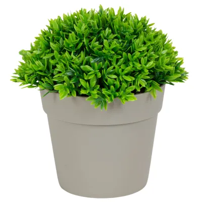 ΤΕΧΝΗΤΟ ΦΥΤΟ GREEN ΣΕ ΓΛΑΣΤΡΑΚΙ 12x13cm No43423