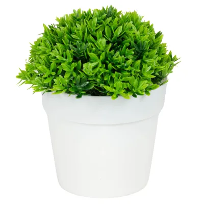 ΤΕΧΝΗΤΟ ΦΥΤΟ GREEN ΣΕ ΓΛΑΣΤΡΑΚΙ 12x13cm No43423