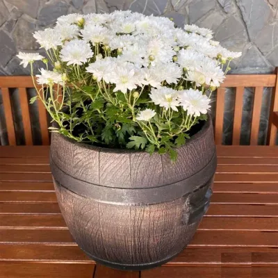 ΓΛΑΣΤΡΑ ΚΑΣΠΩ ΤΥΠΟΥ ΒΑΡΕΛΙ BOLERO SMALL 33x30cm