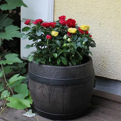 ΓΛΑΣΤΡΑ ΚΑΣΠΩ ΤΥΠΟΥ ΒΑΡΕΛΙ BOLERO SMALL 33x30cm