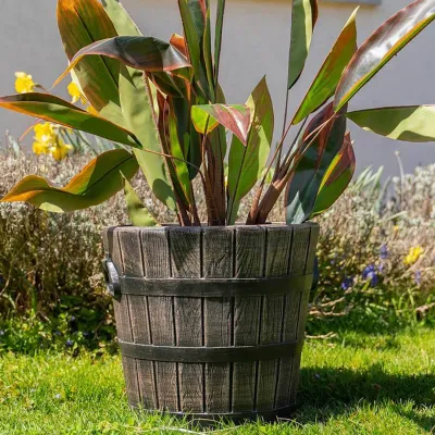 ΓΛΑΣΤΡΑ ΚΑΣΠΩ ΤΥΠΟΥ ΒΑΡΕΛΙ POLKA SMALL 33x31cm