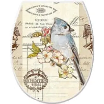 ΚΑΠΑΚΙ ΤΟΥΑΛΕΤΑΣ ΧΡΩΜΑΤΙΣΤΟ ΚΩΔ.372 ΔΙΑΦΟΡΑ ΧΡΩΜΑΤΑ 37x45cm ΚΑΠΑΚΙ ΤΟΥΑΛΕΤΑΣ ΧΡΩΜΑΤΙΣΤΟ ΚΩΔ.372 ΔΙΑΦΟΡΑ ΧΡΩΜΑΤΑ 37x45cm