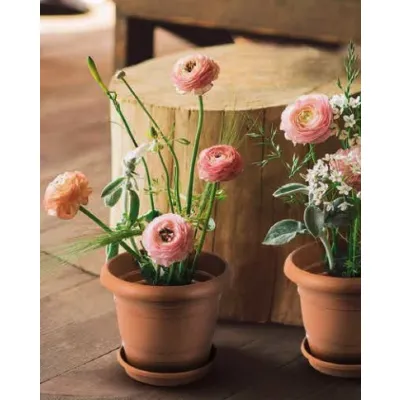 ΓΛΑΣΤΡΑ ΠΛΑΣΤΙΚΗ VIOSARP No6 23,5L 42x42x34cm