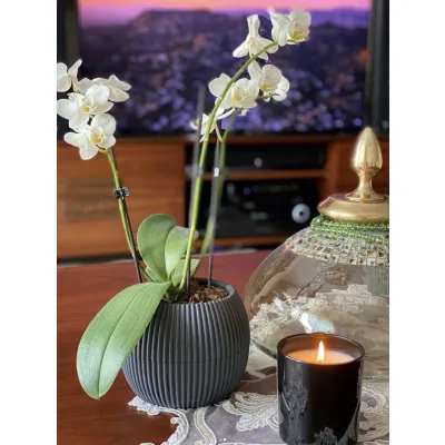 ΓΛΑΣΤΡΑKI ΓΙΑ ΚΑΚΤΑΚΙ ΣΤΡΟΓΓΥΛΟ CORAL No361 8.8x6.8cm 0.15L με πιάτο ΓΛΑΣΤΡΑKI ΓΙΑ ΚΑΚΤΑΚΙ ΣΤΡΟΓΓΥΛΟ CORAL No361 8.8x6.8cm 0.15L με πιάτο